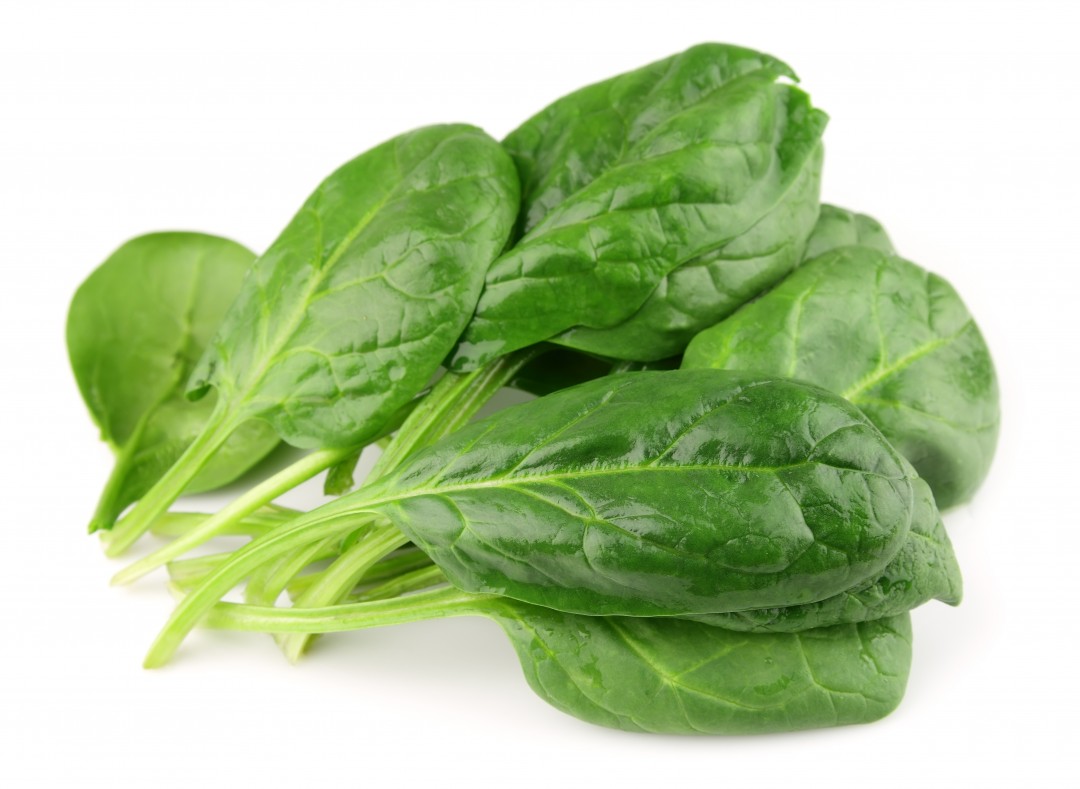 Processing leafy greens - Washing is not enough to mitigate E.coli