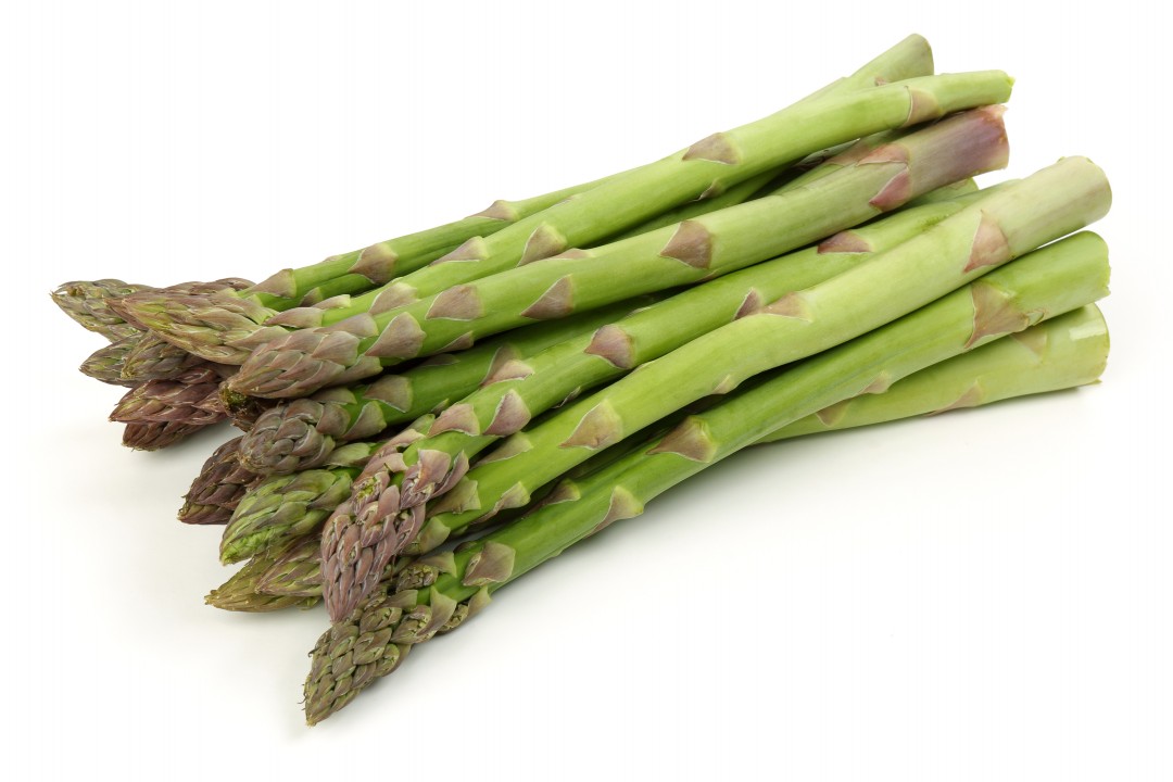 Processing Asparagus without Any Breakage or Bending