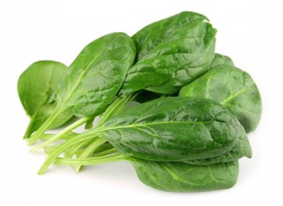 Best Practices to Process IQF Spinach