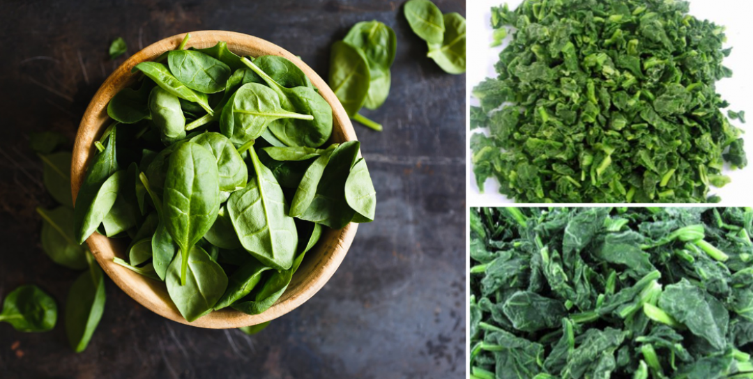 THE 3 STEPS FOR ACHIEVING PREMIUM IQF SPINACH