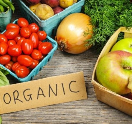 THE GLOBAL ORGANIC SECTOR IS EXPECTED TO GROW OVER THE NEXT DECADE