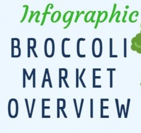 INFOGRAPHIC BROCCOLI MARKET OVERVIEW