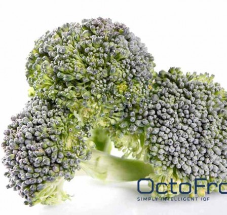 OVERVIEW OF THE WORLD'S FRESH AND FROZEN BROCCOLI MARKET