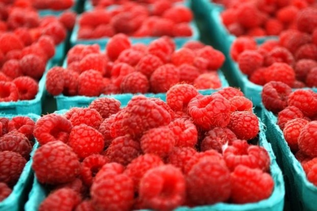 HOW DOES THE FRESH AND FROZEN RASPBERRY MARKET LOOK LIKE?